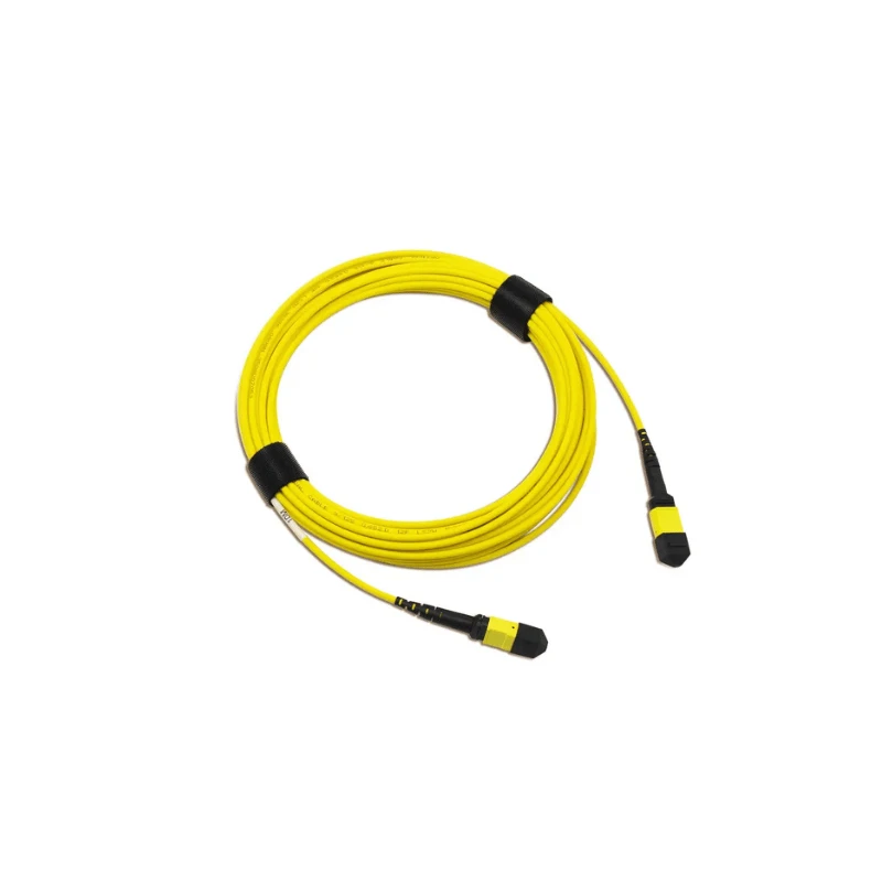 Module de test de bouclage MPO